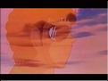 Film3 (146)