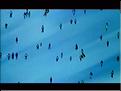 Film3 (206)