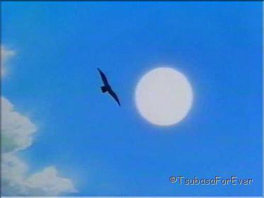 film5 (43)