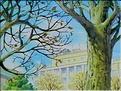 film5 (395)